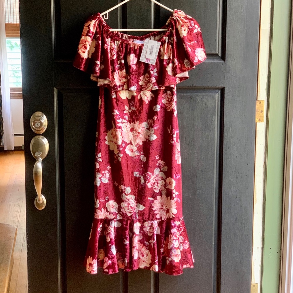 LulaRoe Maroon flowered Velour CiCi dress